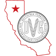 2025 LV DVG America Championship Logo